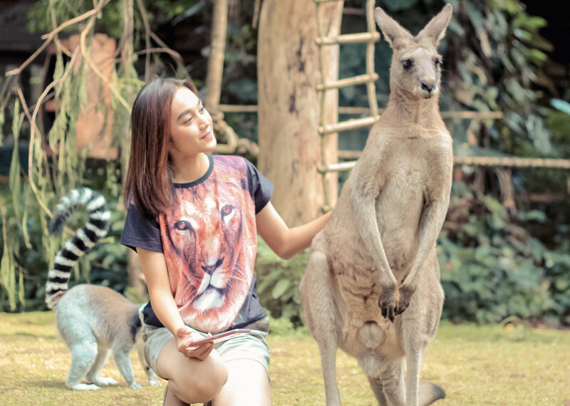 Pengunjung berswafoto dengan Kanguru Australia di wahana edukasi Baby Zoo Taman Safari Bogor. (Foto: Dok Taman Safari Bogor)